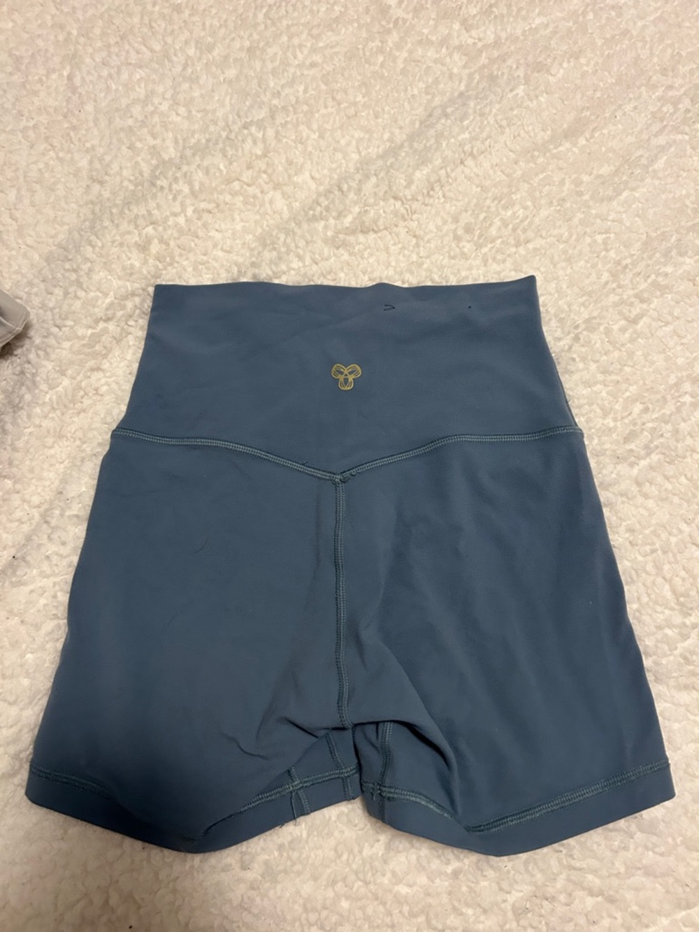 Aritizia blue Golden shorts